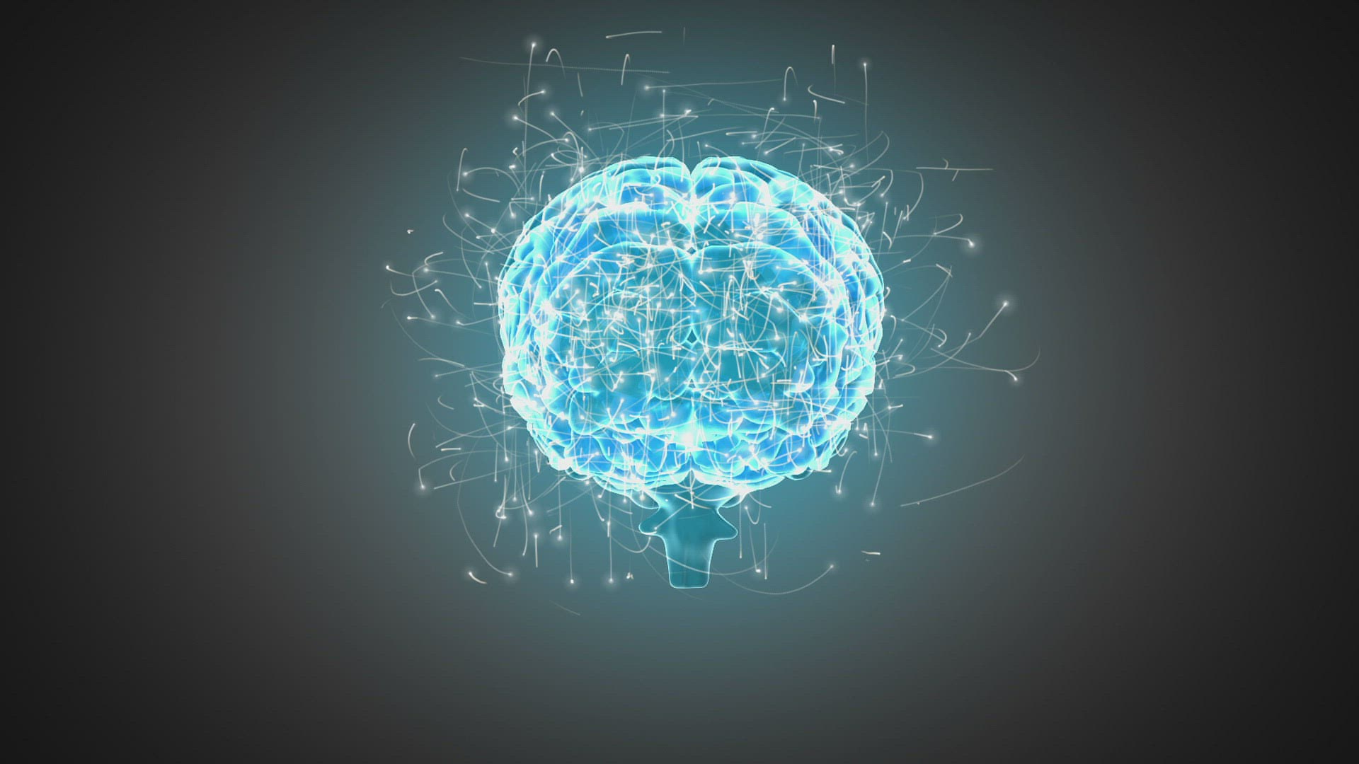 583907844 / Animation / Brain