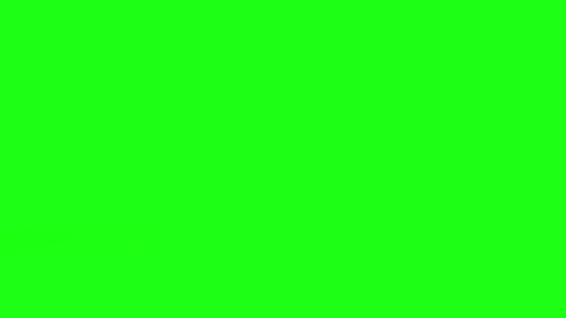 558018362 / Animation / Tablet Computer