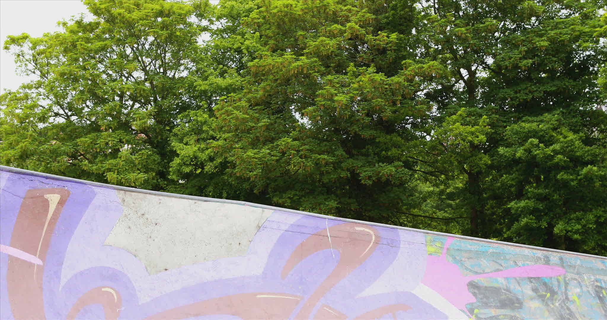 139484001 / People / Sportsman / Skater