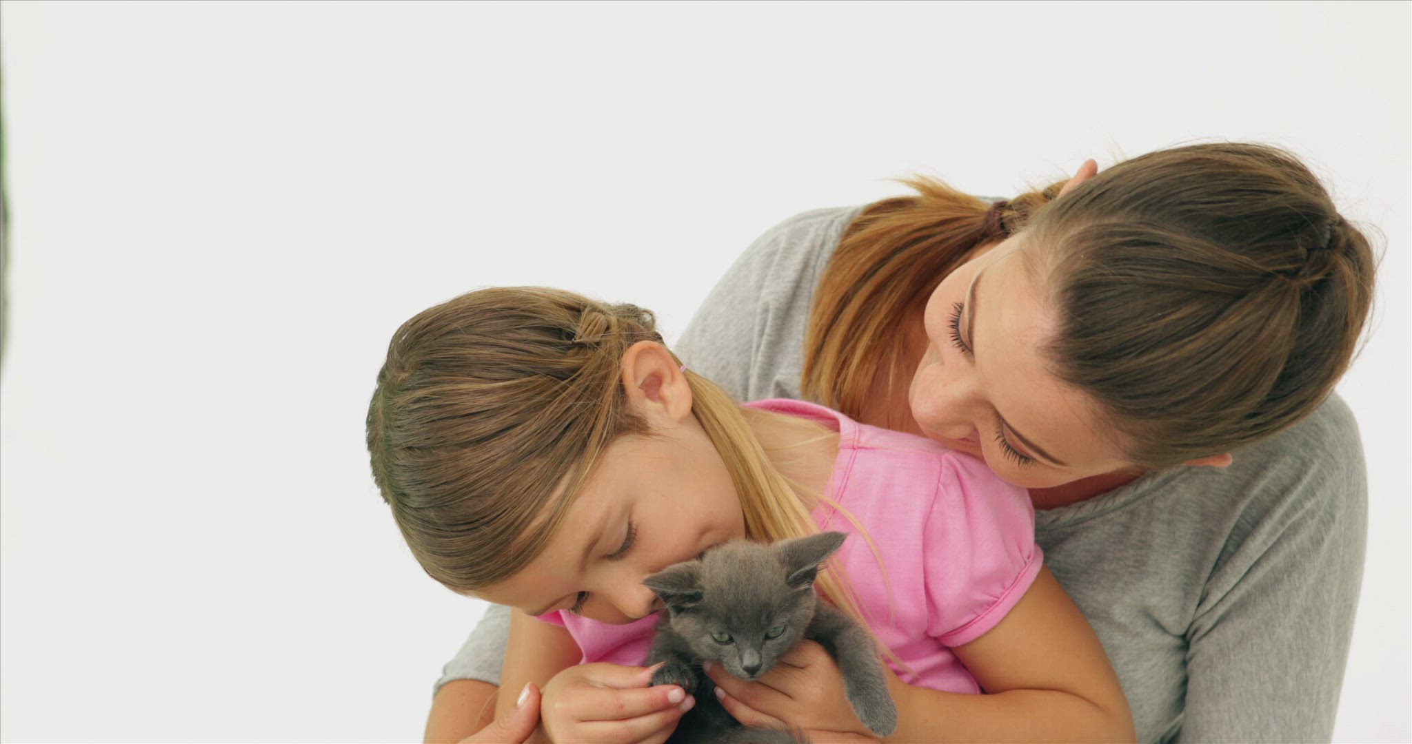 226474808 / Cat of Prey / People / Domestic Cat