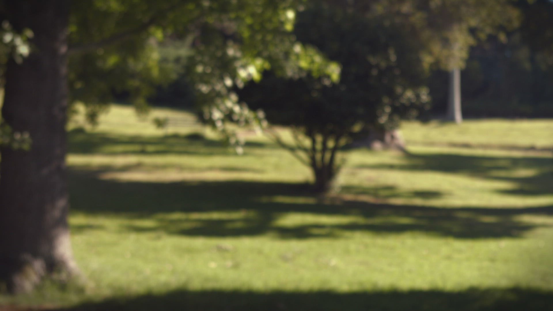 503267854 / People / Jogger / Park