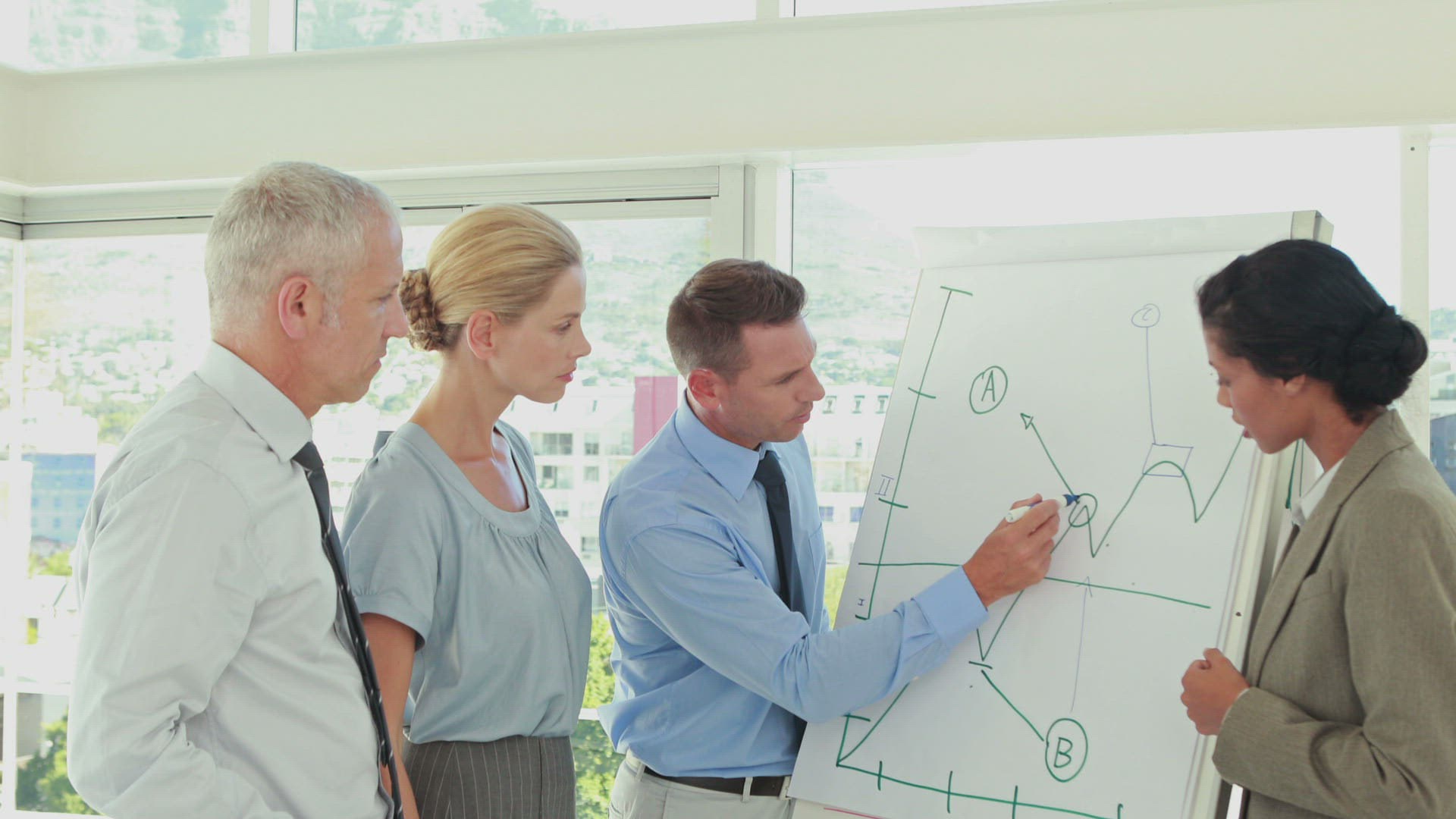 226789799 / Explaining / Businesswoman / Executive