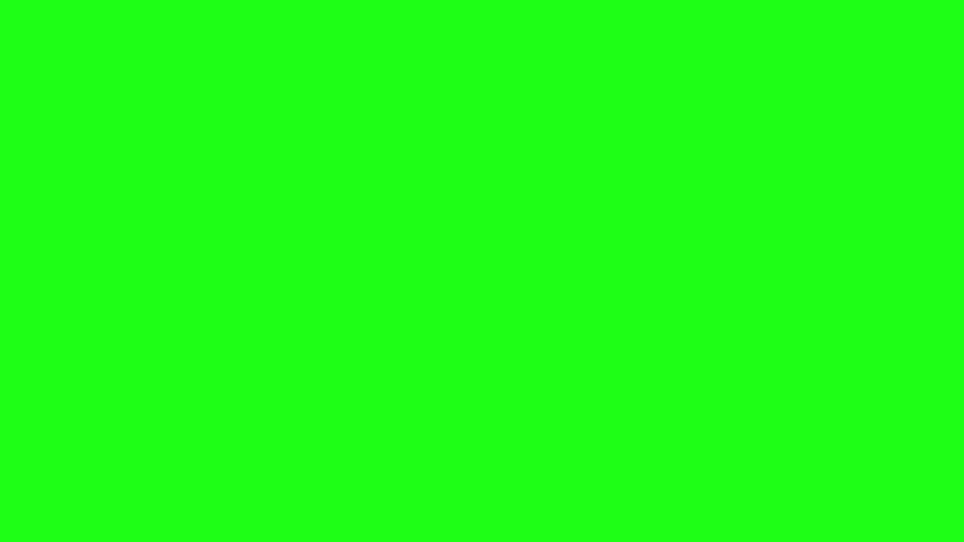 116288838 / People / Presenting / Showing