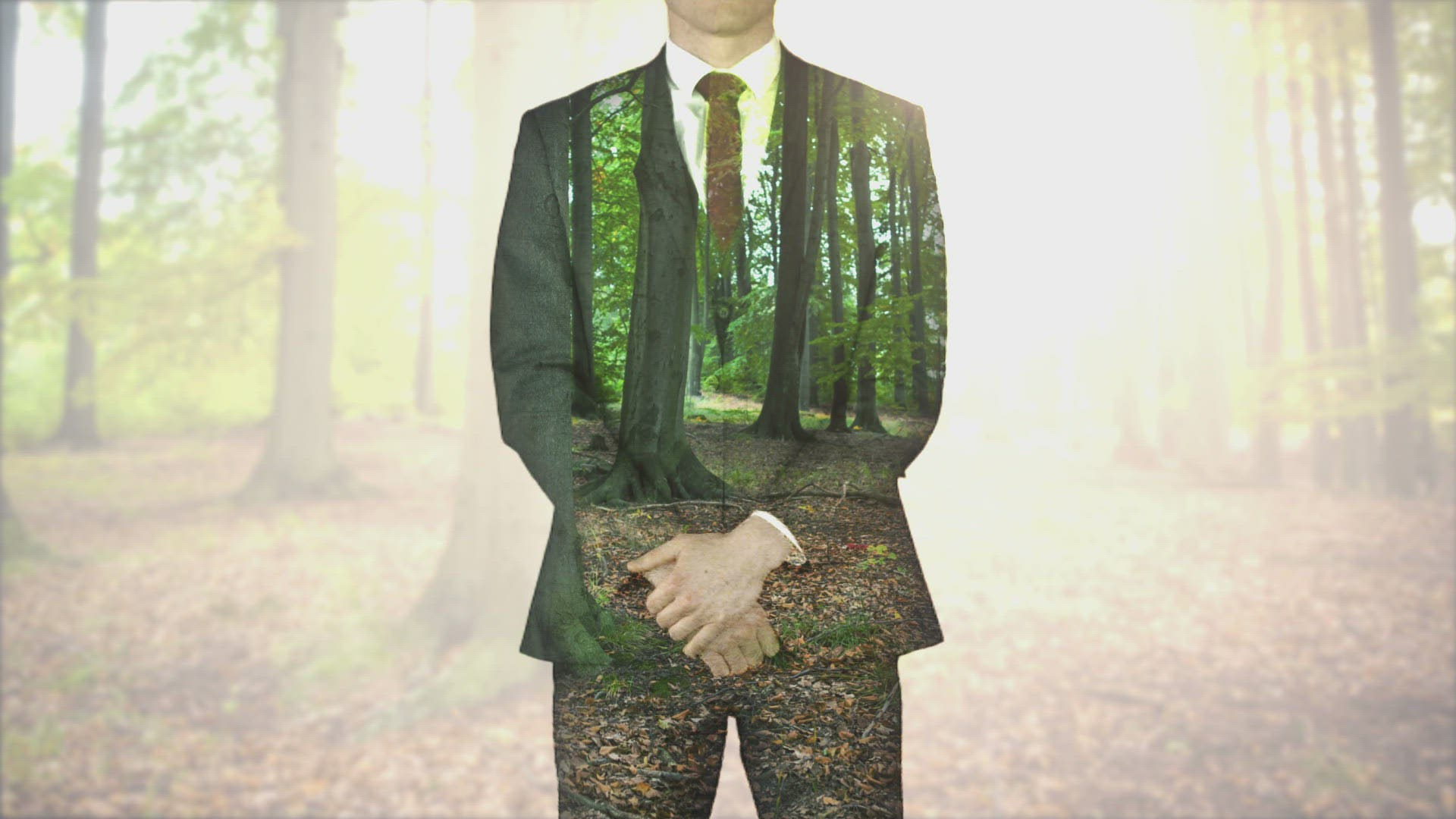 741404772 / Business People / Businessman / Forest