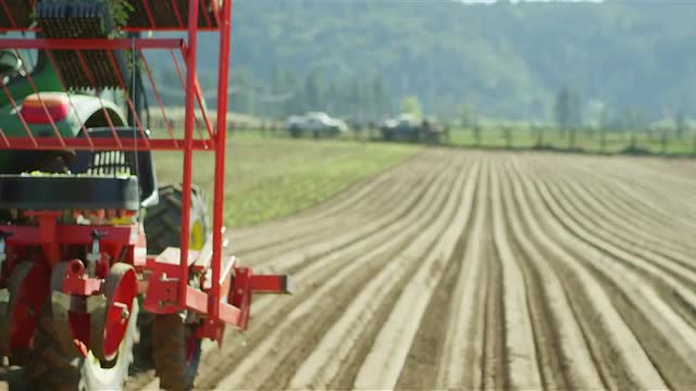 A huge harvesting machine plows through the dirt on a huge field