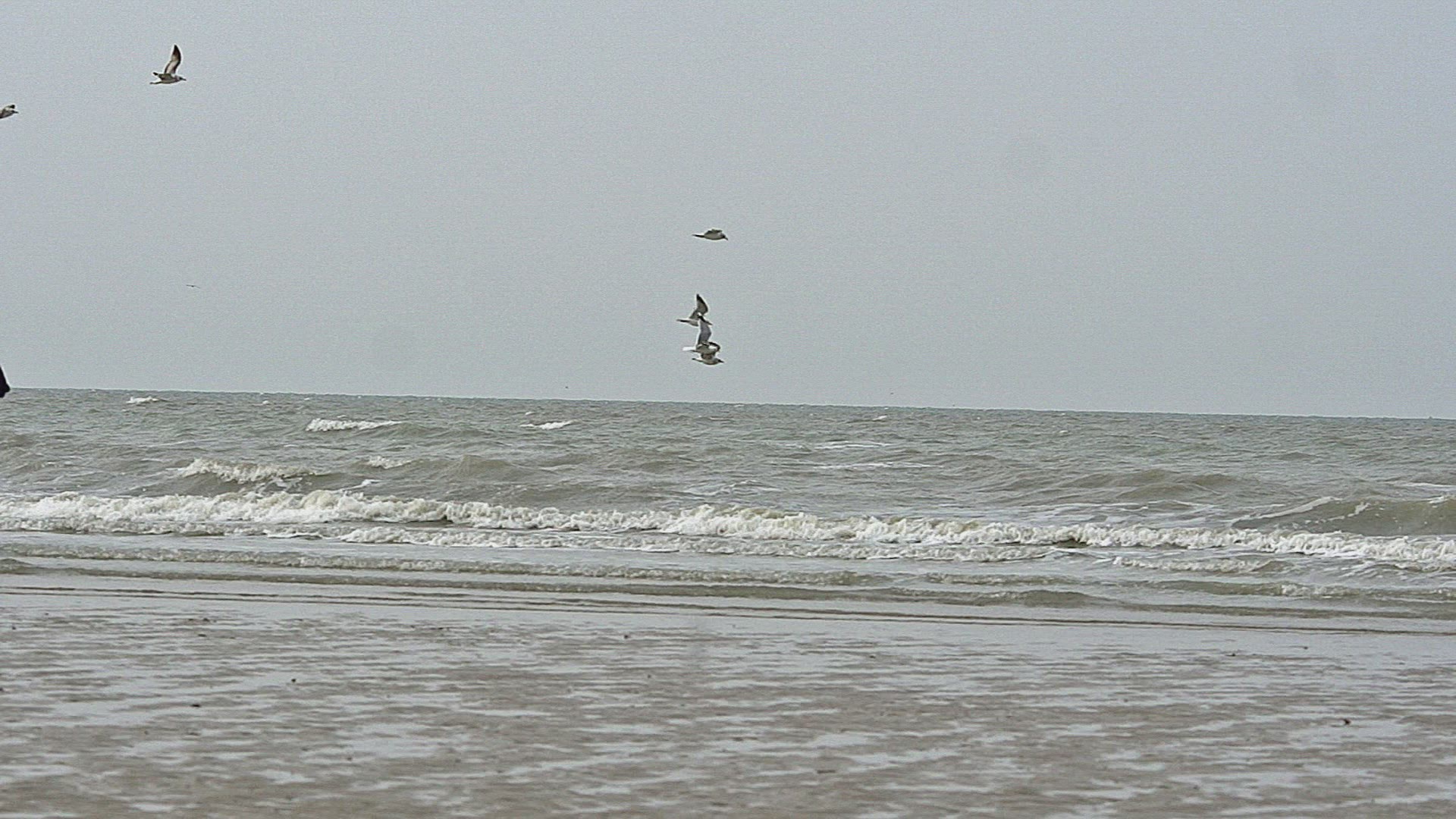 986685975 / Horse Racing / Beach / Cabourg / France