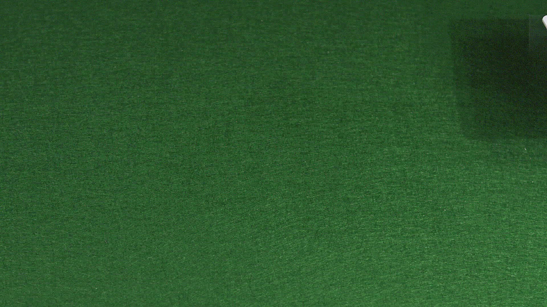 290790970 / Playing Card / Gambling Table