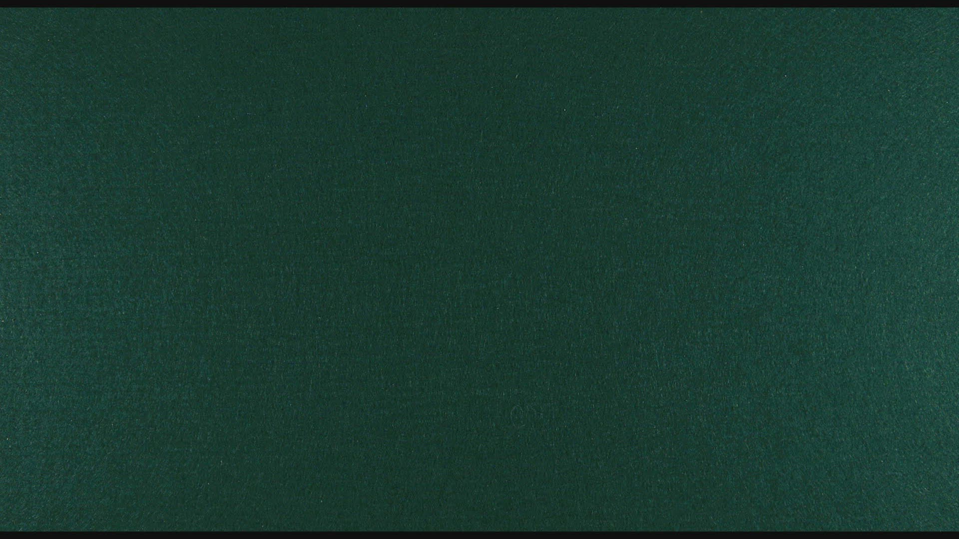 729511357 / 50 Euro Note / Gambling Table