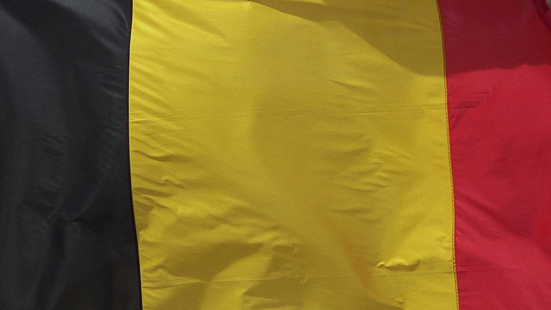 603070697 / National Flag / Waving