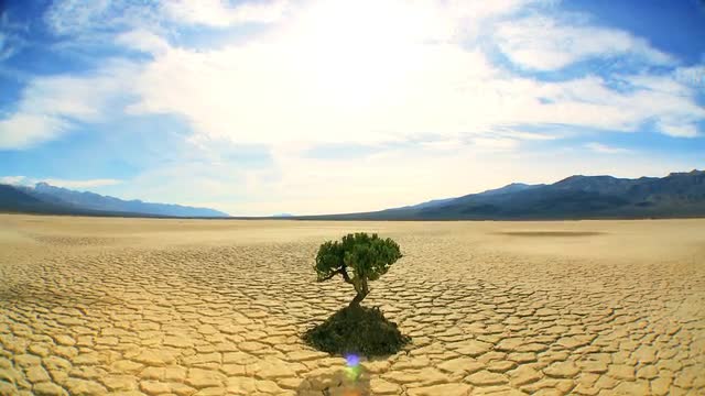 0025890210CLIMATECHANGECONCEPT.mov