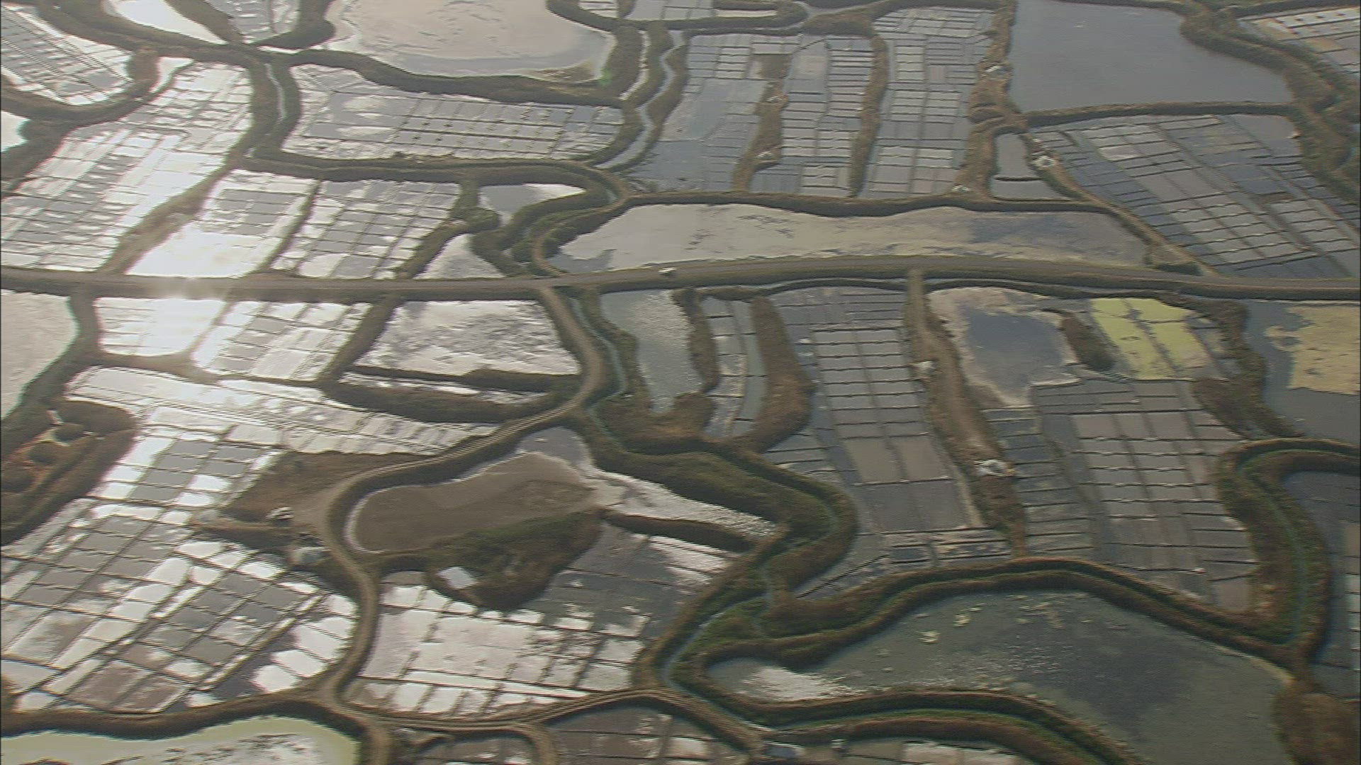 535681934 / Pisciculture / Pays-de-la-Loire / France / Aerial