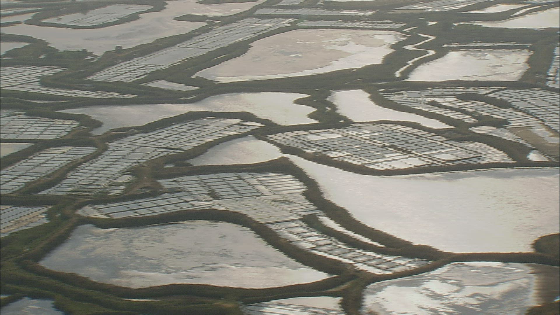 351547012 / Pisciculture / Pays-de-la-Loire / France / Aerial