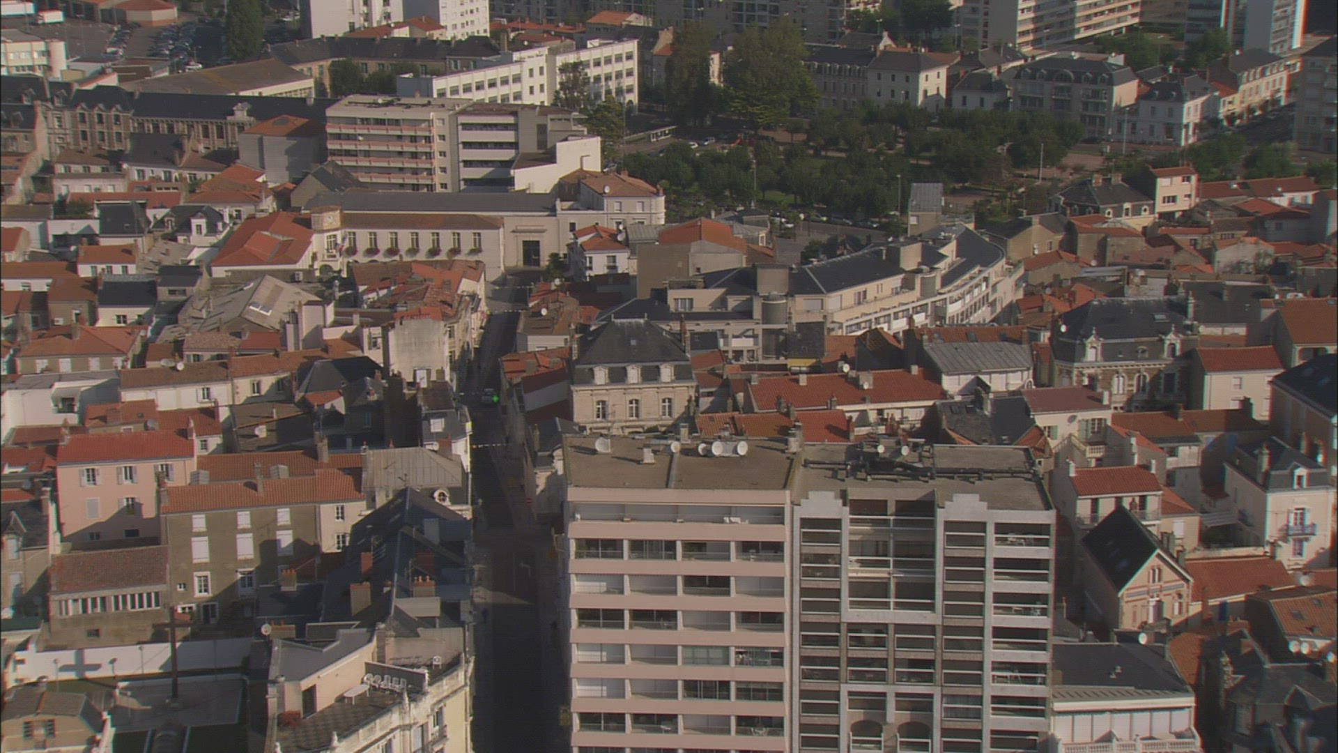 555977444 / Vendée / Pays-de-la-Loire / France
