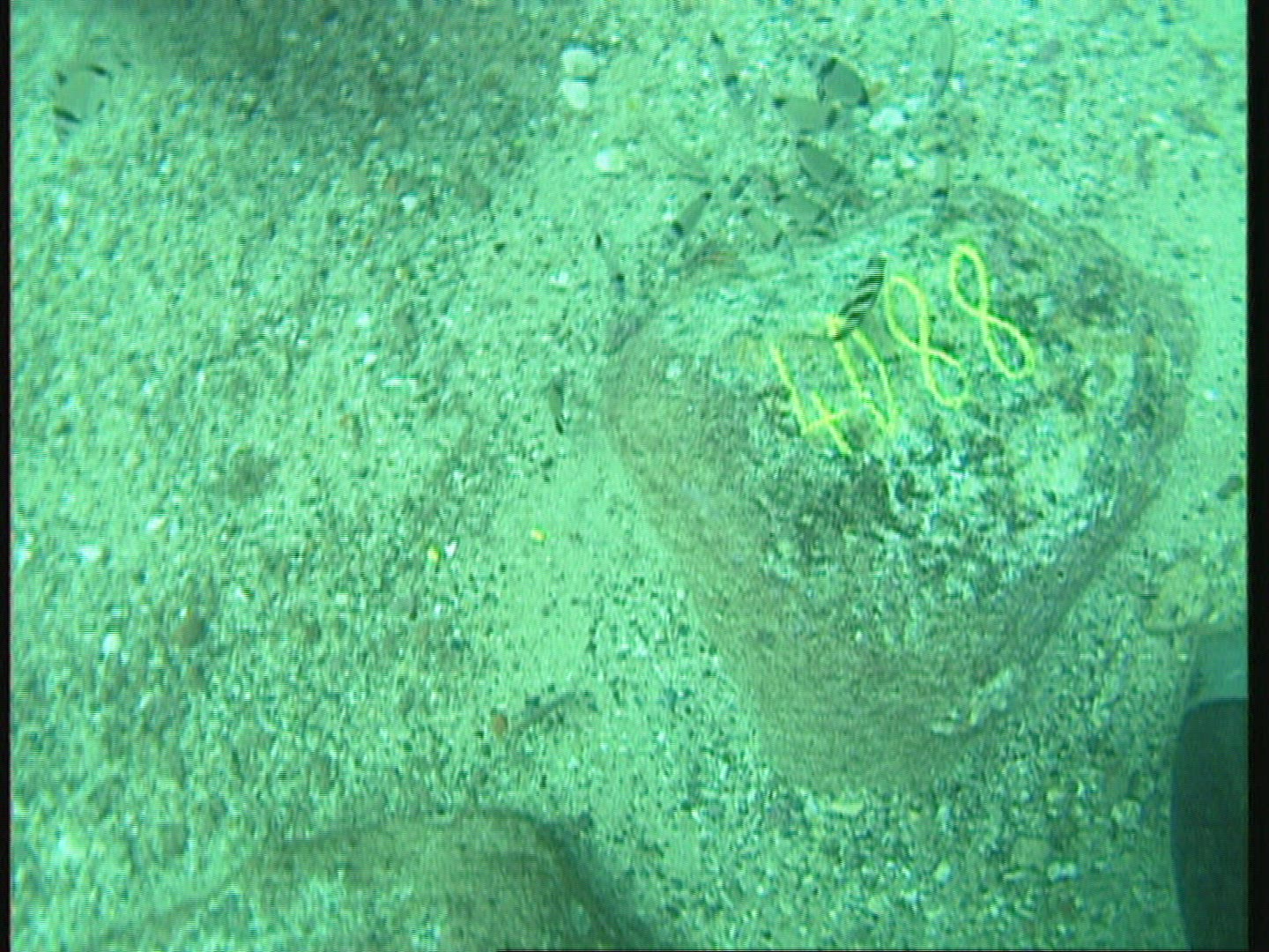 276059504 / Underwater Archaeology / Sea / Lower Egypt