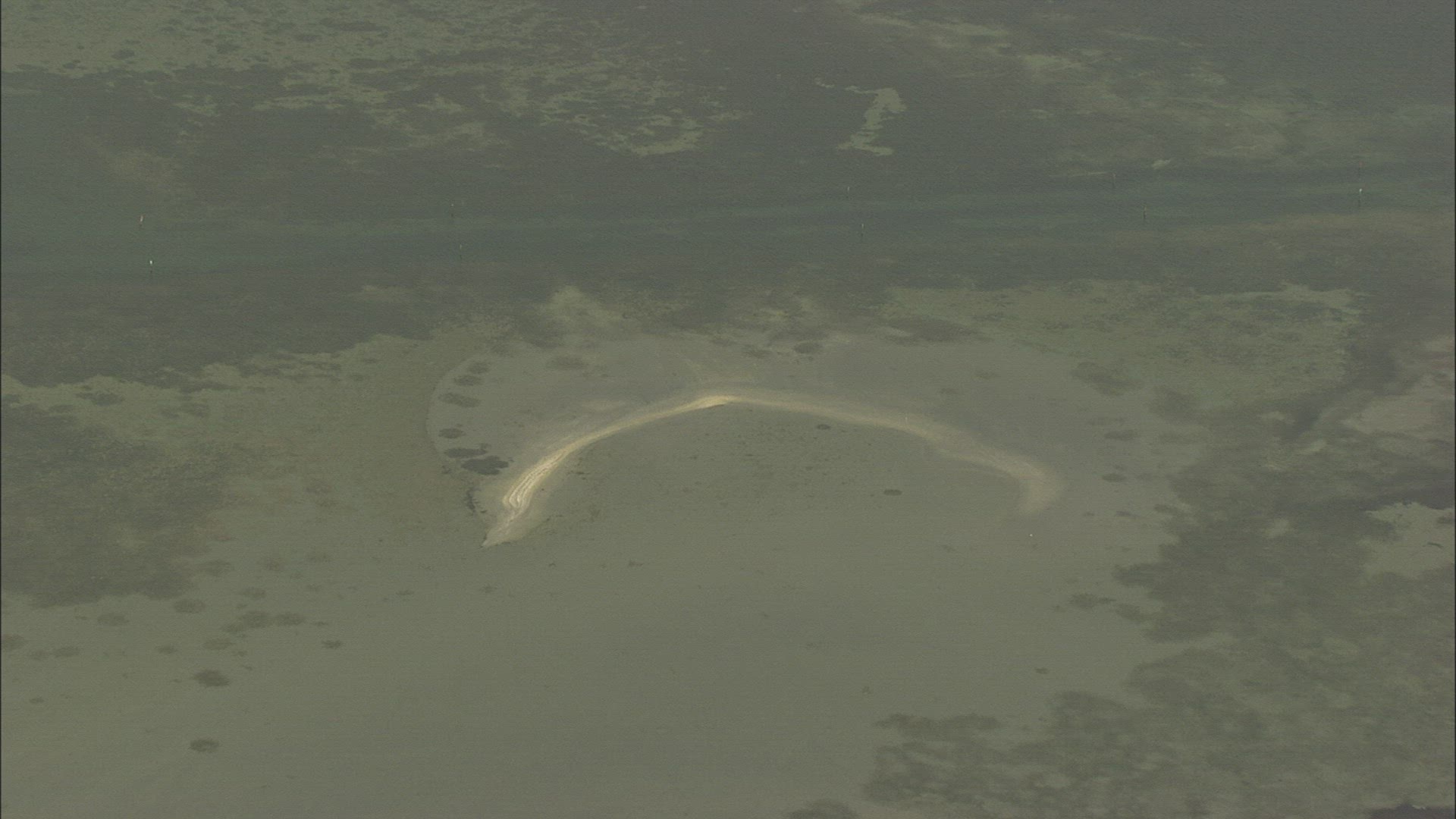756009859 / Etang de Thau / Languedoc-Roussillon / France
