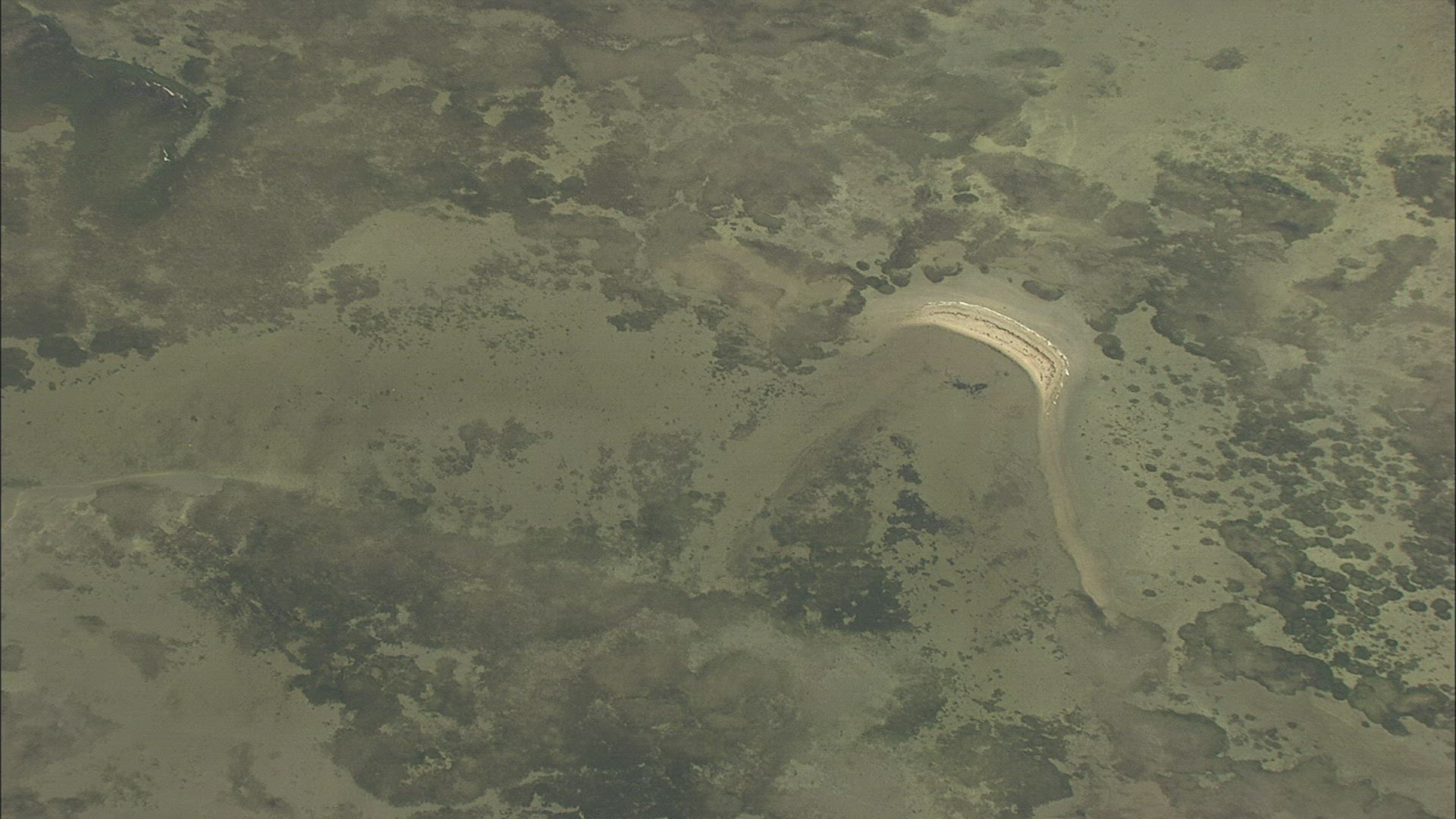 320269143 / Parc naturel régional de la Narbonnaise / France / Aerial