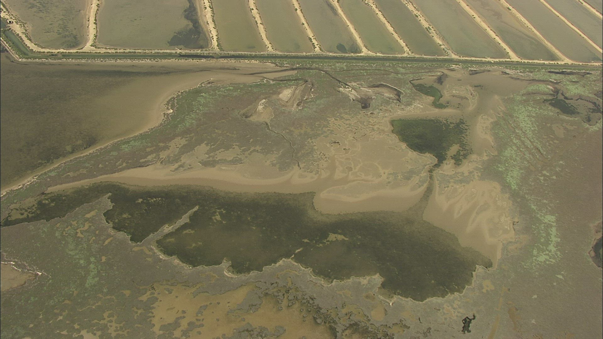 288995015 / Parc naturel régional de la Narbonnaise / France / Aerial