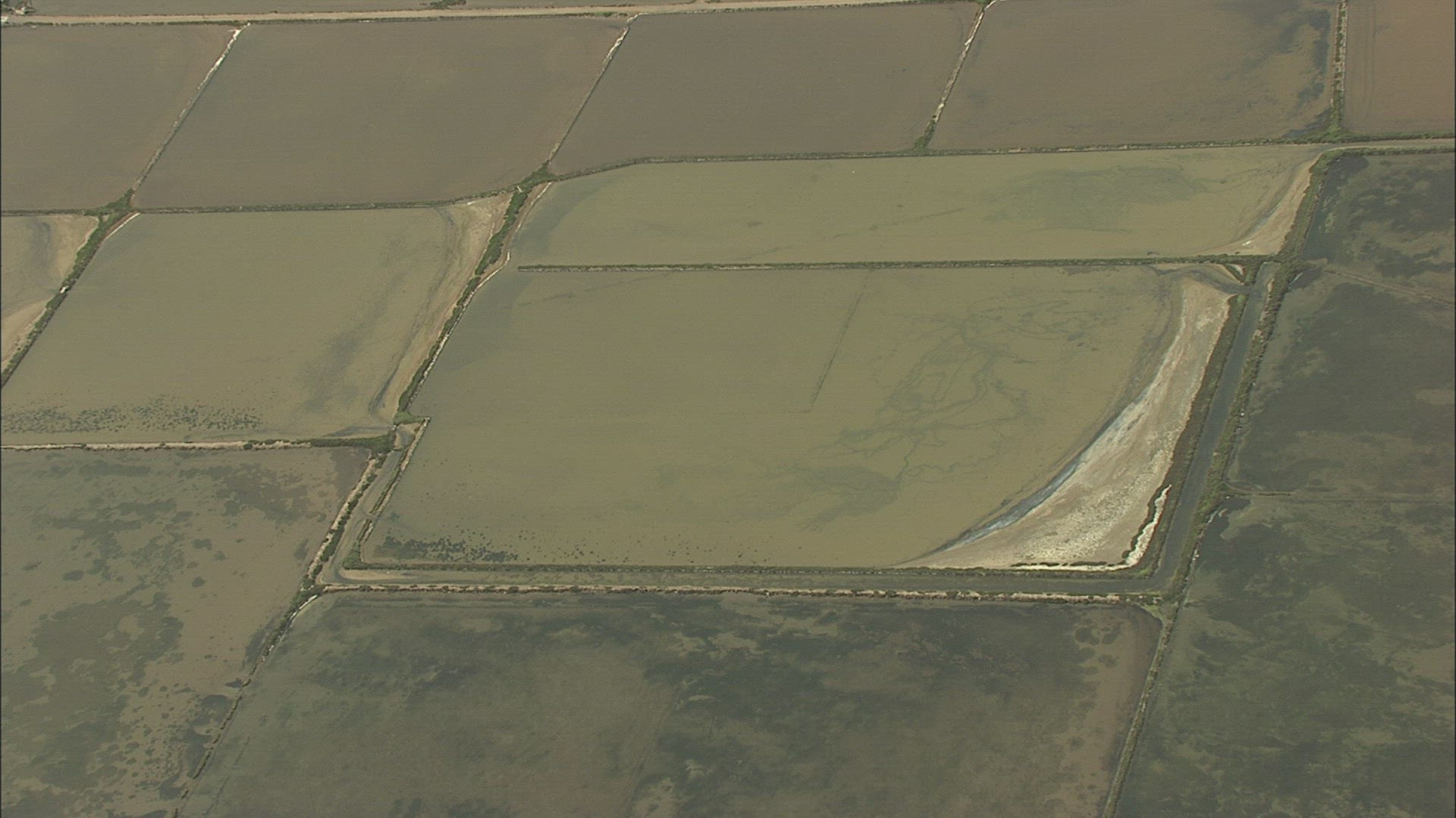 531547912 / Aquaculture / Languedoc-Roussillon / France