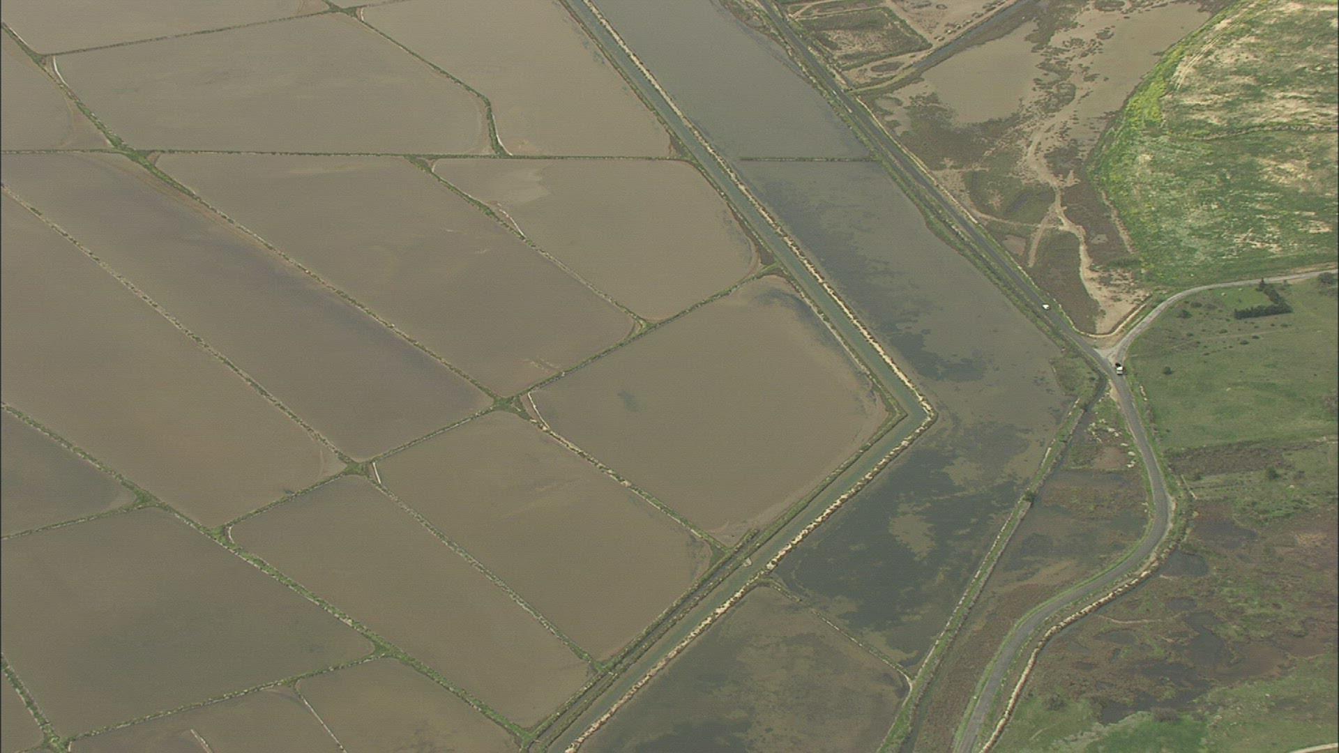 526156885 / Aquaculture / Languedoc-Roussillon / France