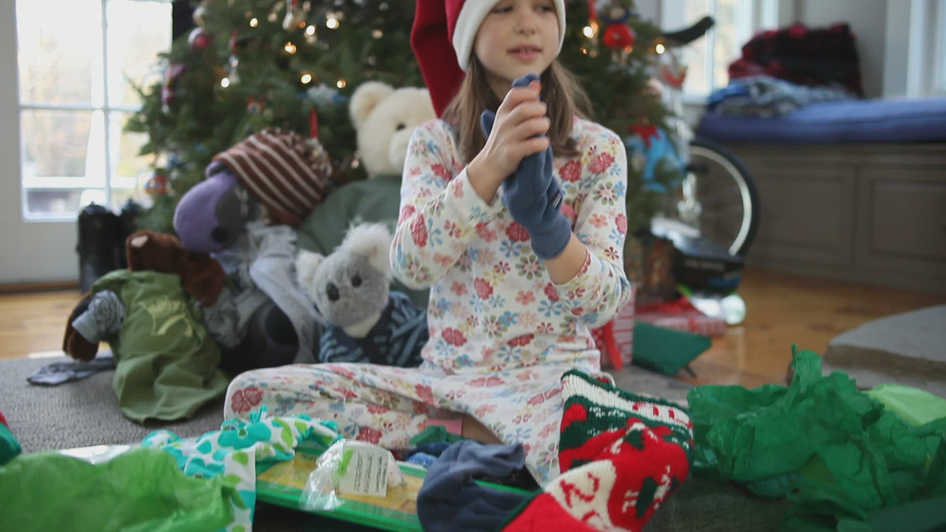 895920749 / Siblings / Gift Giving / Christmas