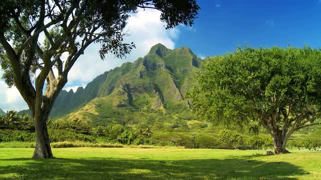 0027400210HAWAIIPALICLIFFS.mov