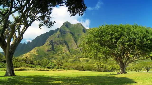 0027410210HAWAIIPALICLIFFS.mov