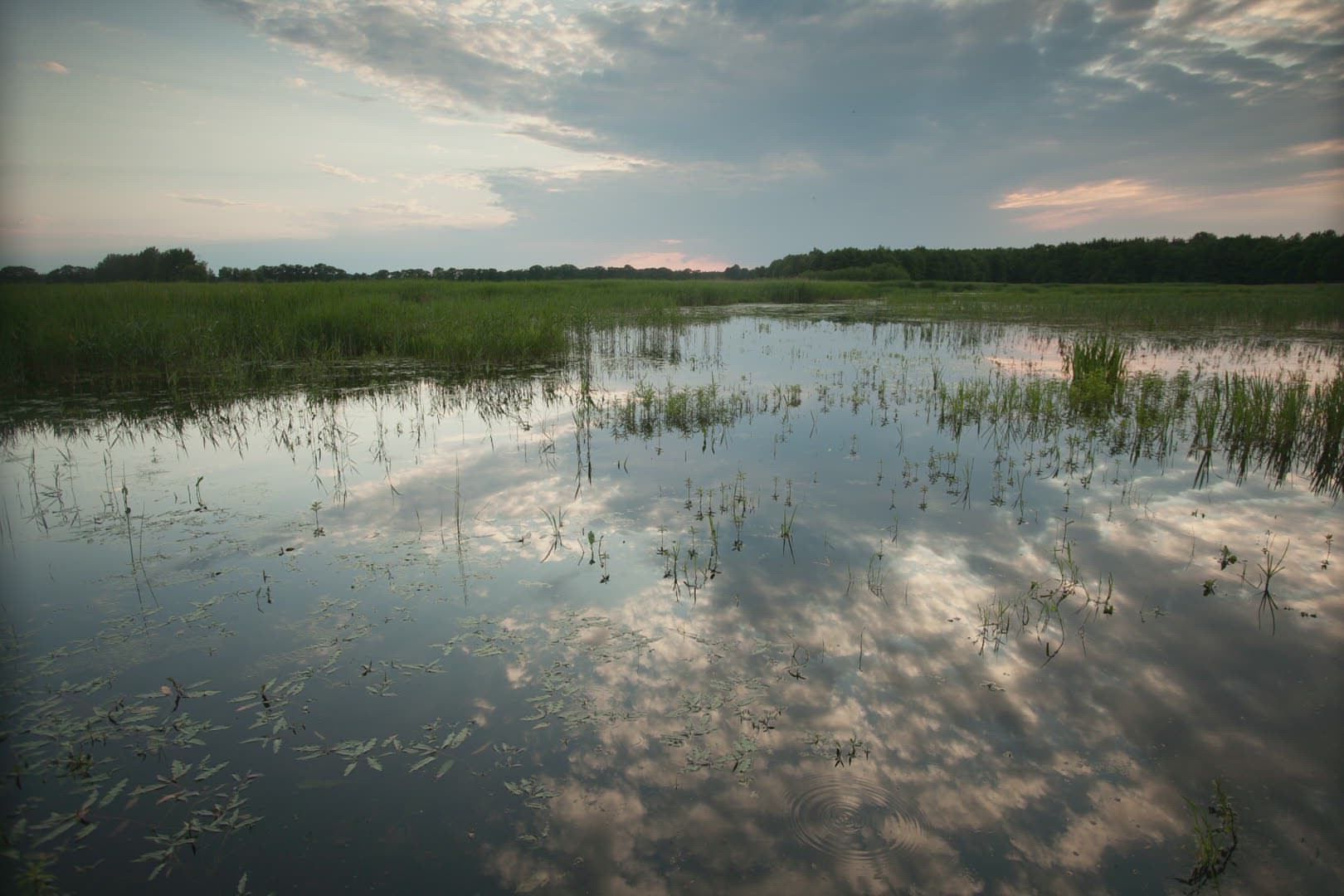 502135976 / Lake / Germany / Timelapse