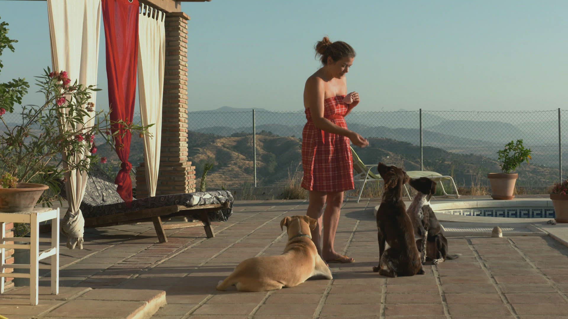 958886767 / Terrace / Andalusia / Spain