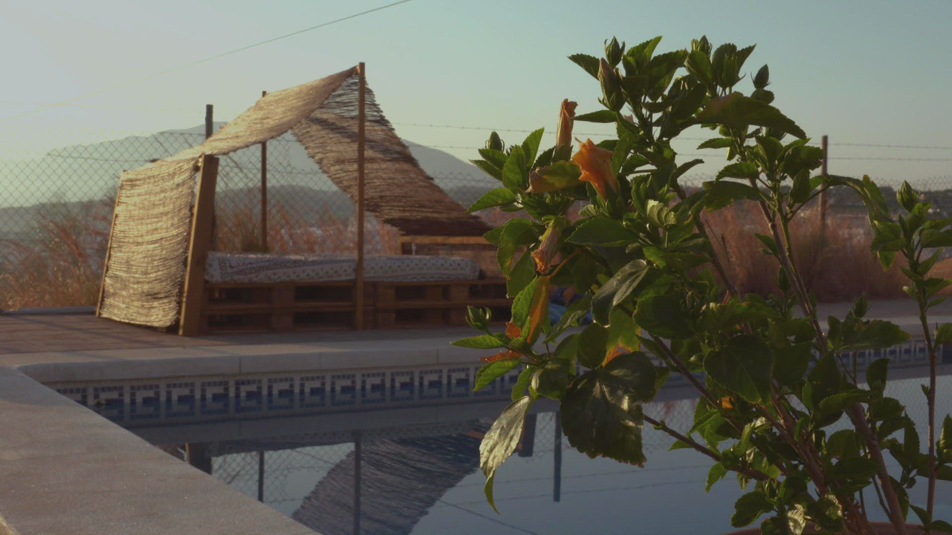 504465621 / Terrace / Andalusia / Spain