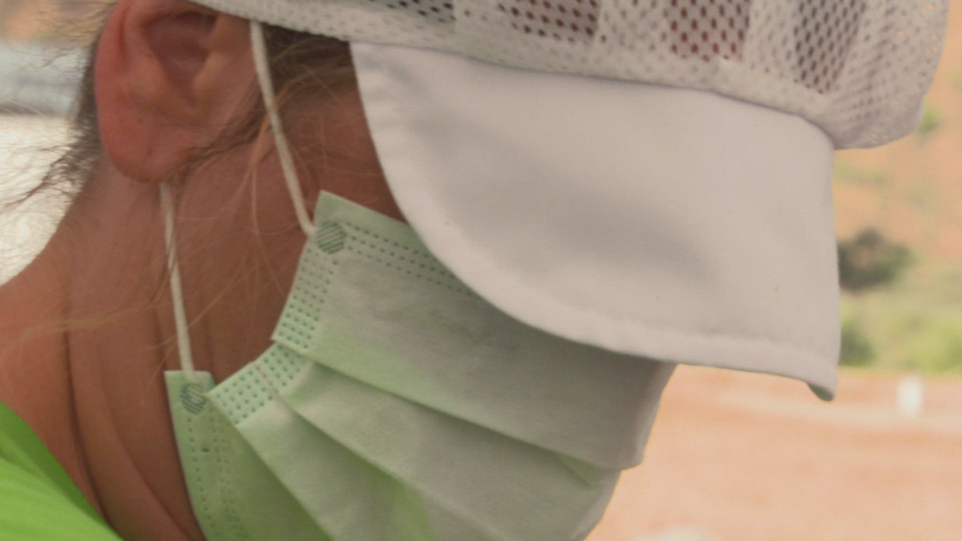 892541538 / Mealworm / Classifier / Spain