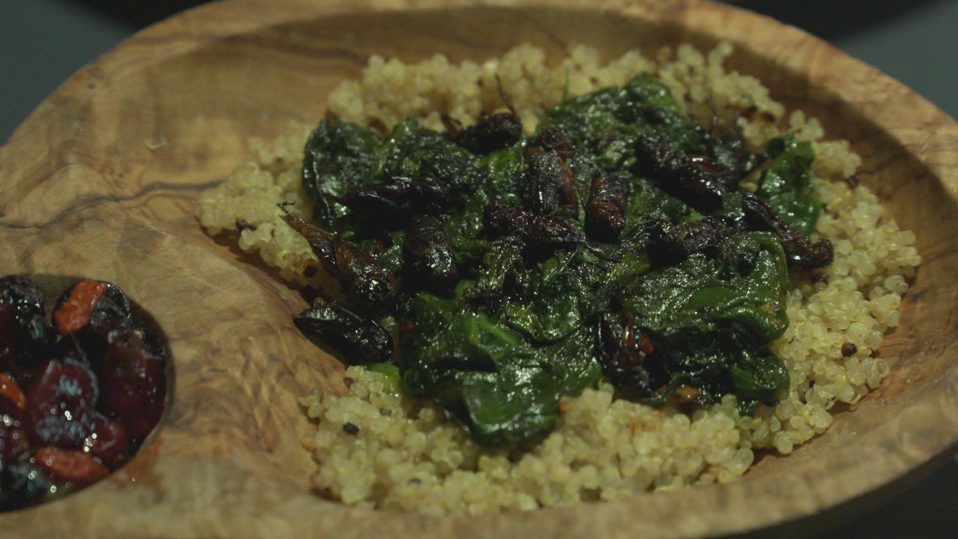 255507483 / Insect / Meal / Restaurant