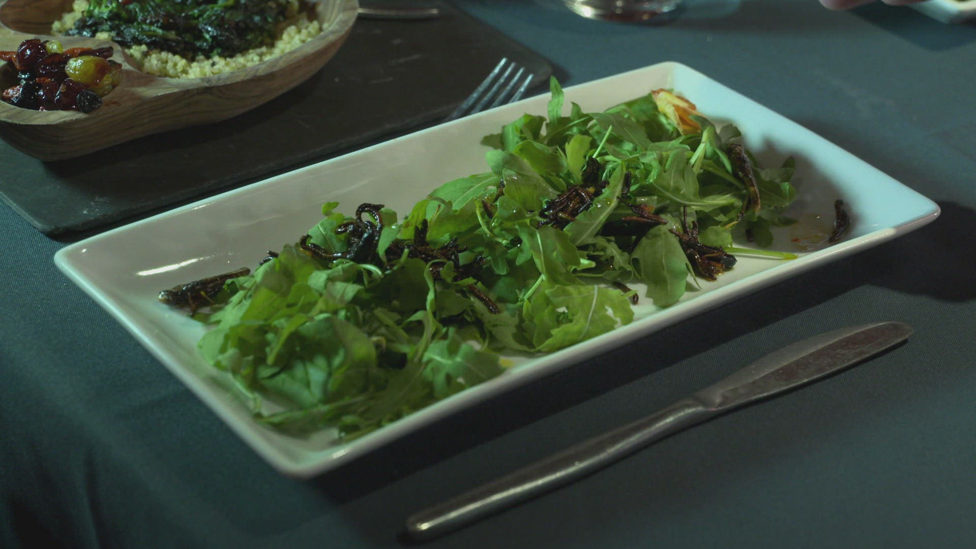 145254722 / Insect / Meal / Restaurant