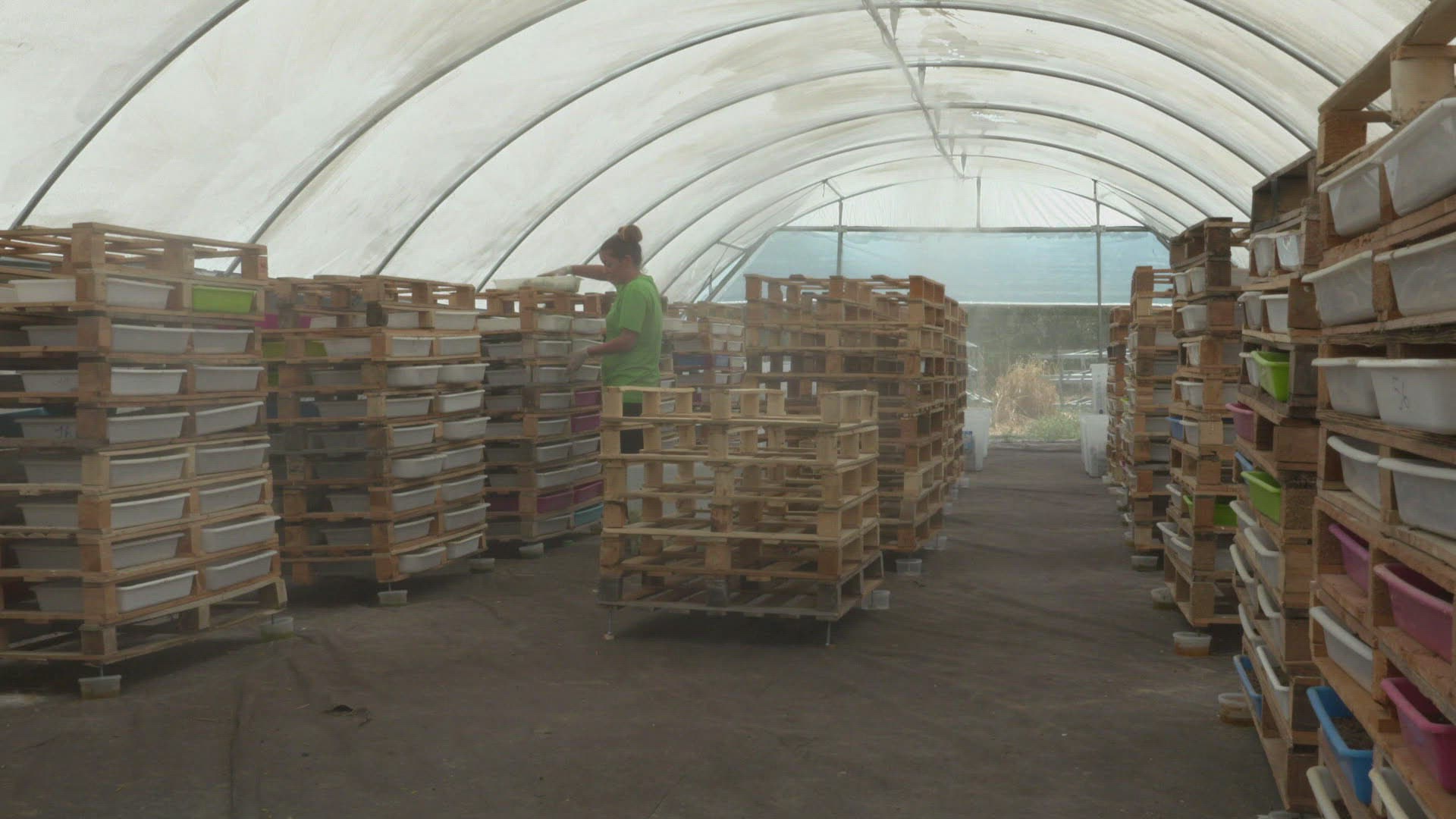 813284559 / Insect Farm / Andalusia / Spain