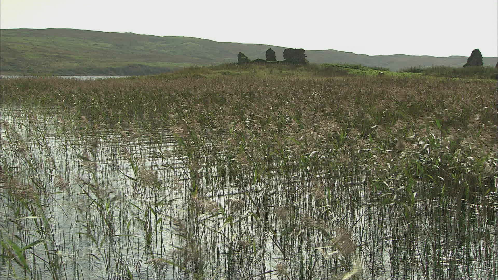 889102606 / Rock / Inner Hebrides / Scotland