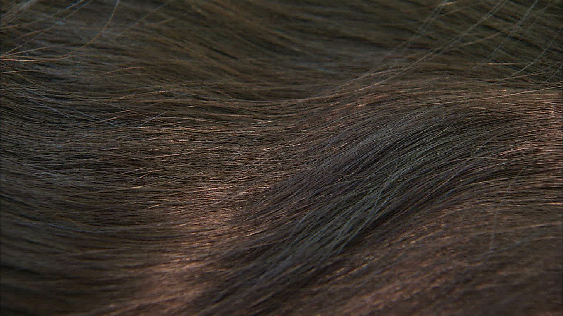 707909104 / Hair / Hair Color