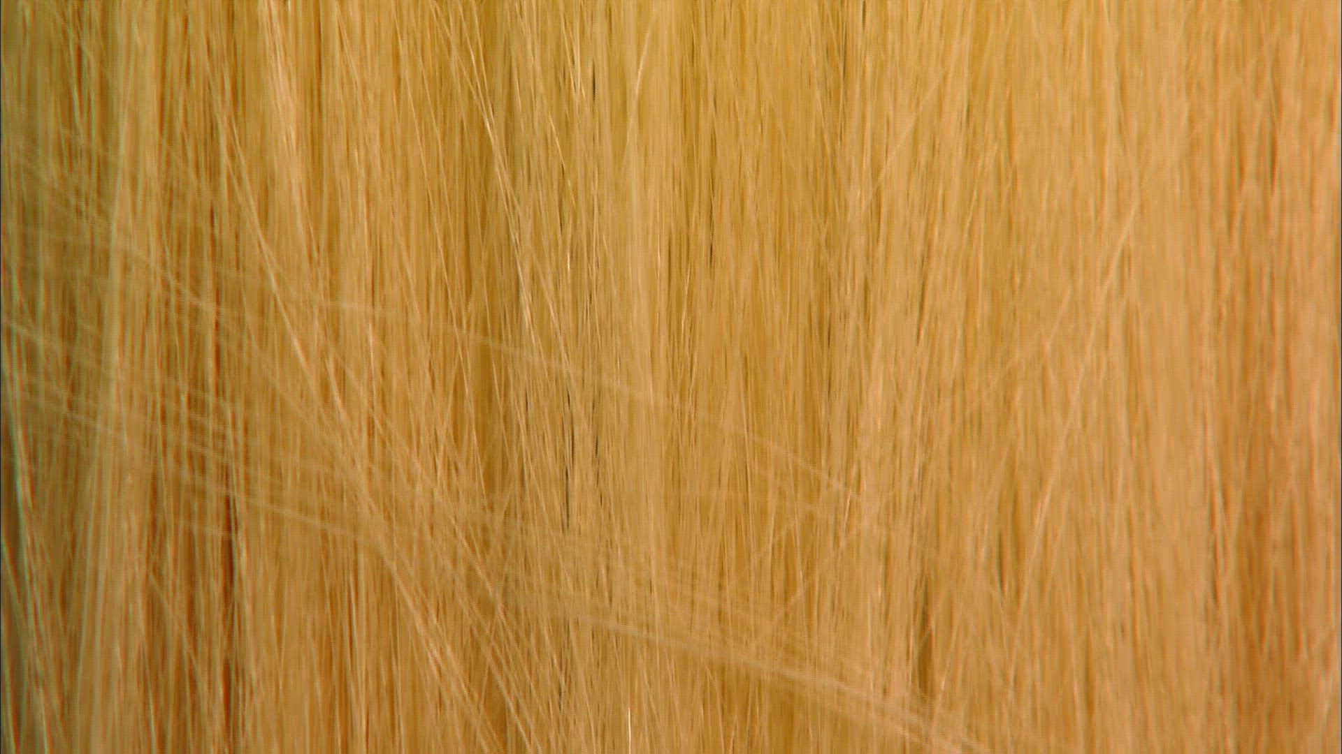 768124140 / Hair / Hair Color