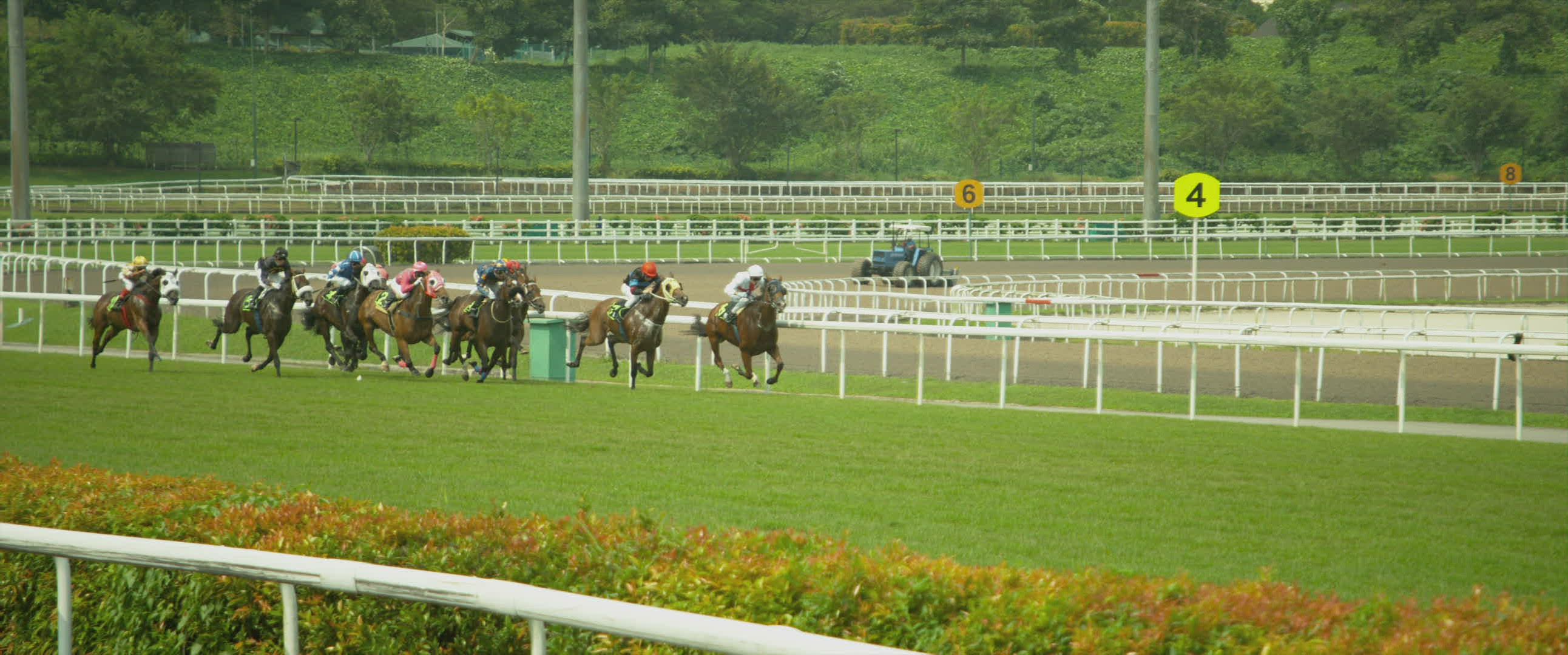 645194933 / Jockey / Horse Racing