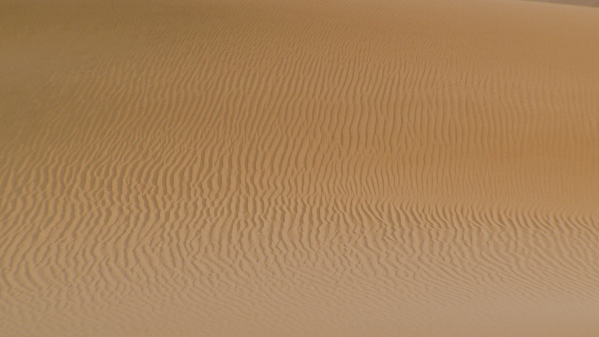 497441356 / Southern Africa / Namibia / Africa