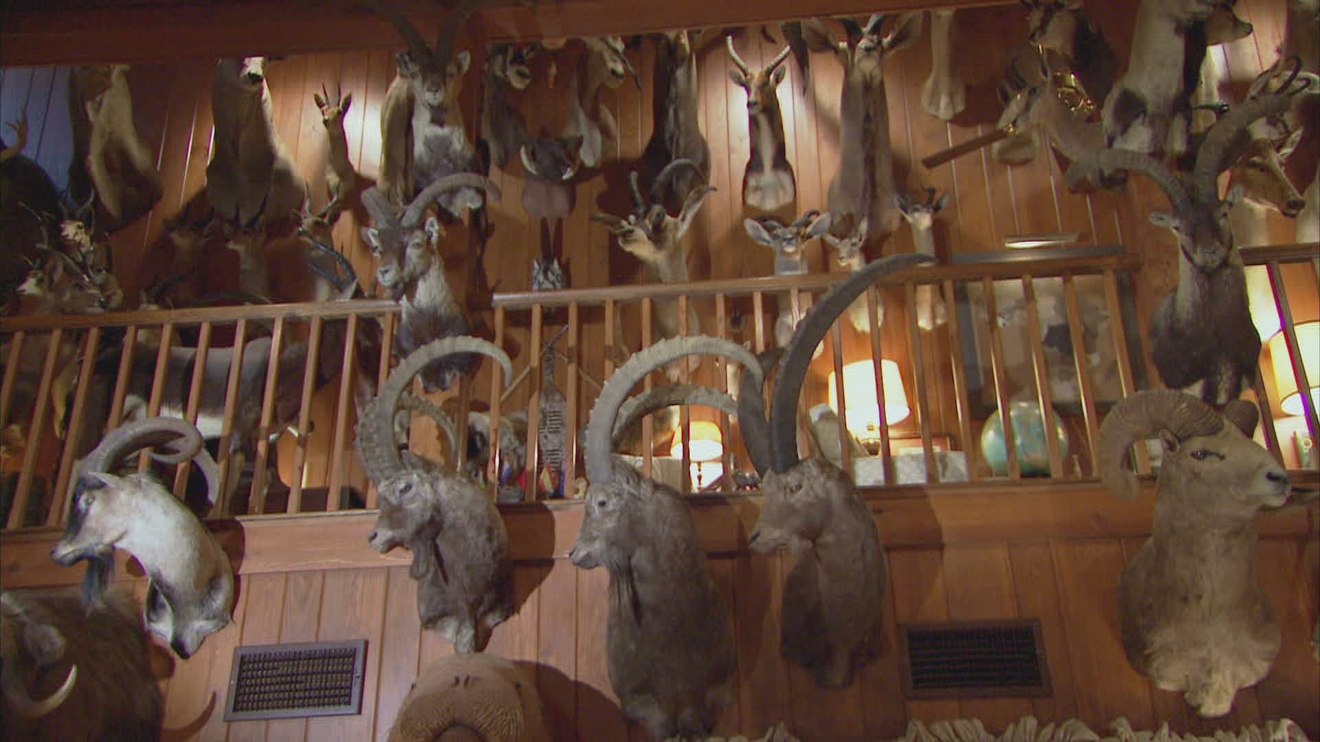 448677926 / Cloven Hoofed Animal / Hunting / Dallas