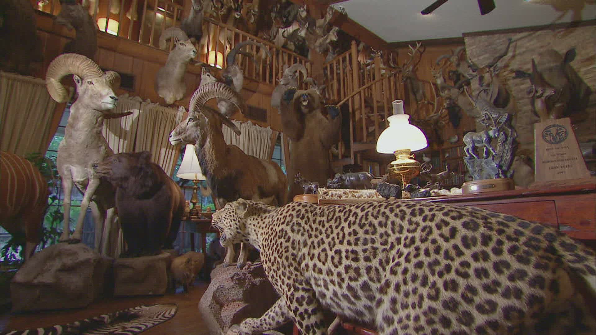886849829 / Cloven Hoofed Animal / Hunting / Dallas