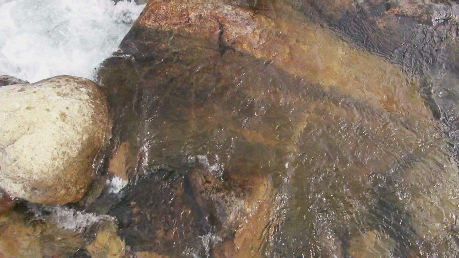 676686516 / Baffin Island / Pond Inlet / Nunavut