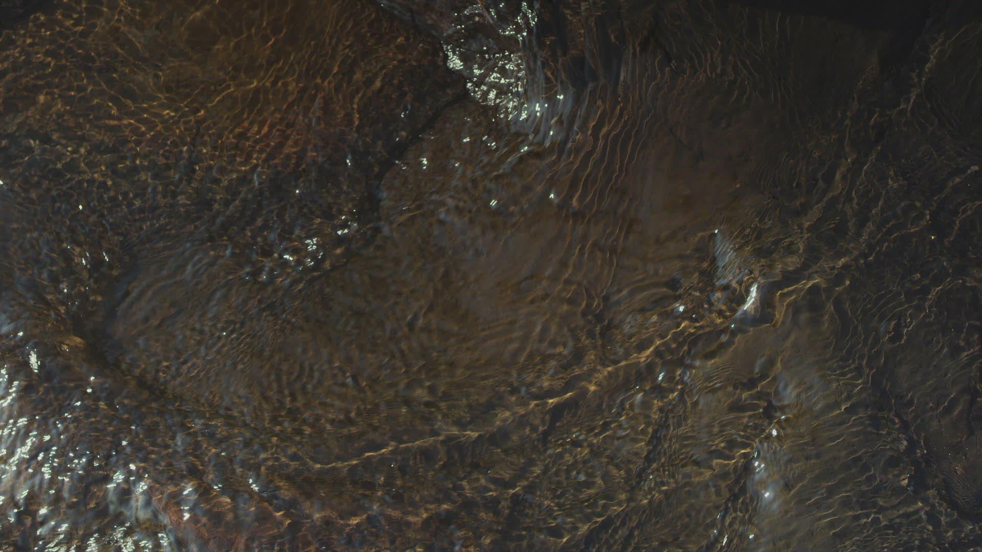 144164810 / Splashing / Leaf / Southern Province