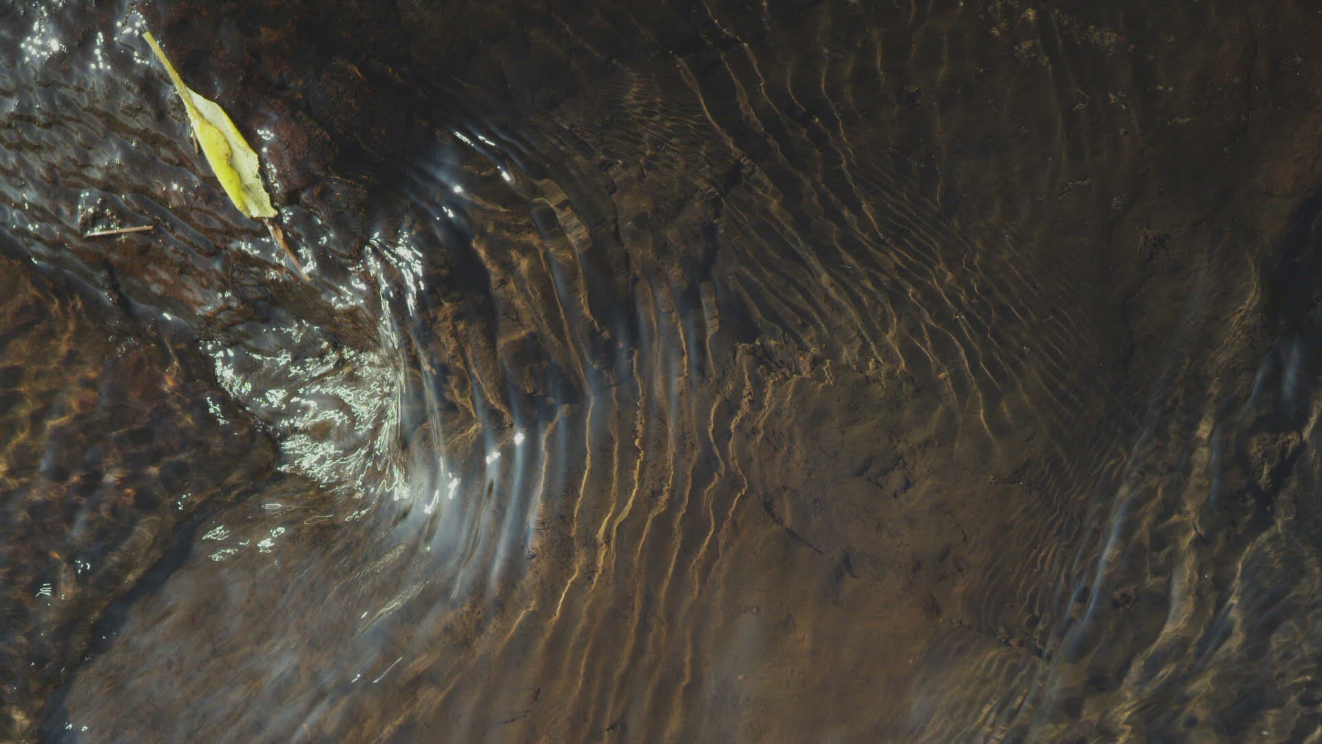 693339708 / Splashing / Leaf / Southern Province