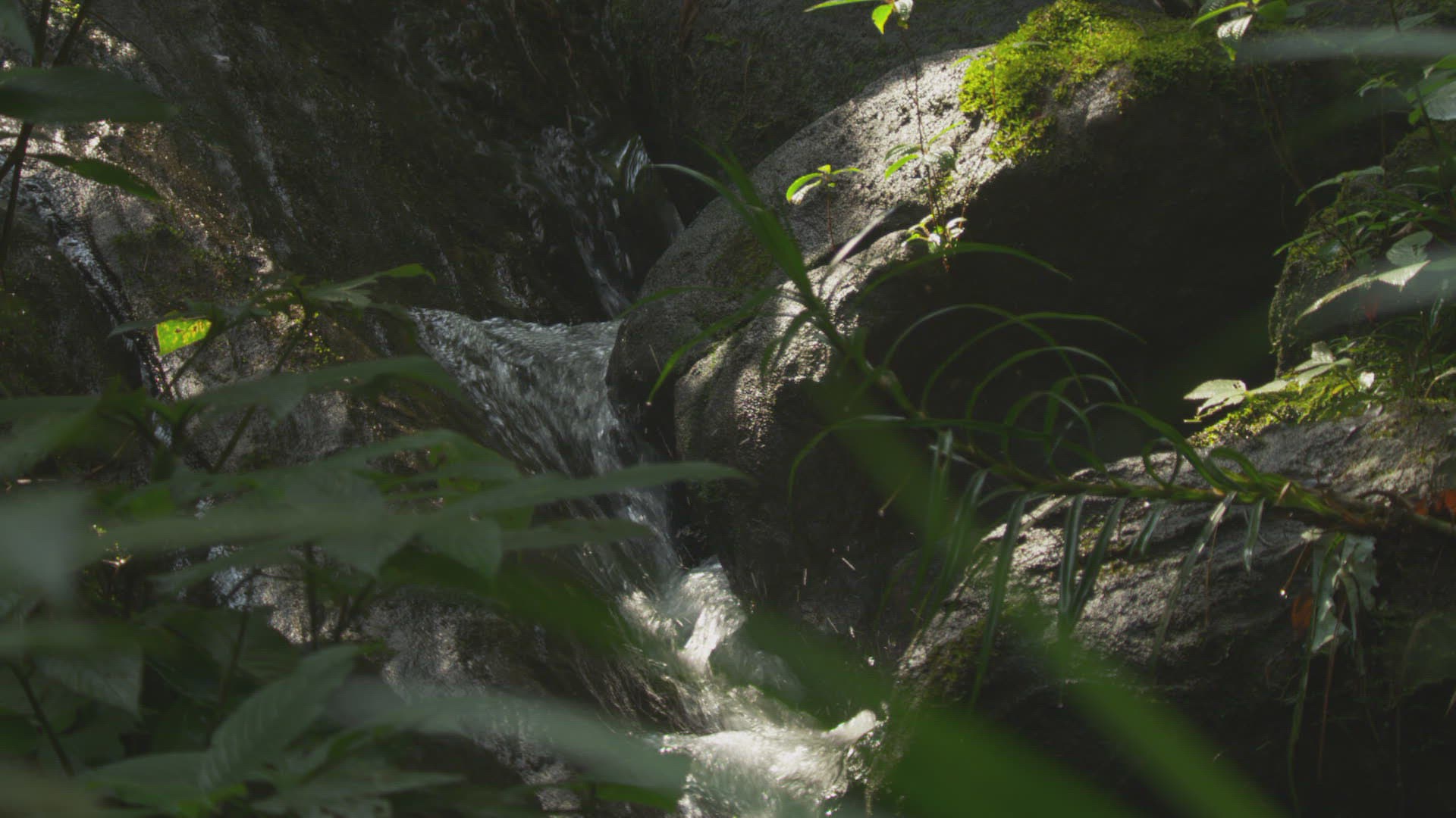 711929934 / Southern Province / Splashing / Sri Lanka