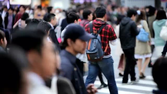 Shibuya pedestrian road crossing intersection pollution Tokyo Metropolis Japan