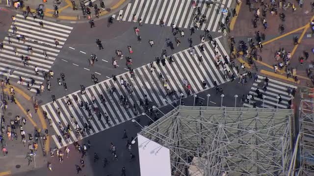 Aerial Shibuya scramble crossing Metropolis intersection Tokyo 