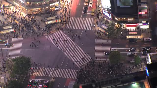 Aerial illuminated Shibuya road crossing people transport intersection Tokyo 