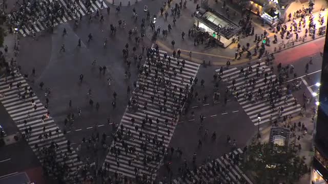 Aerial illuminated Shibuya road crossing people intersection traffic Tokyo 