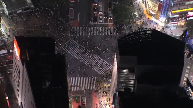 Aerial night illuminated Shibuya scramble crossing intersection traffic Tokyo 