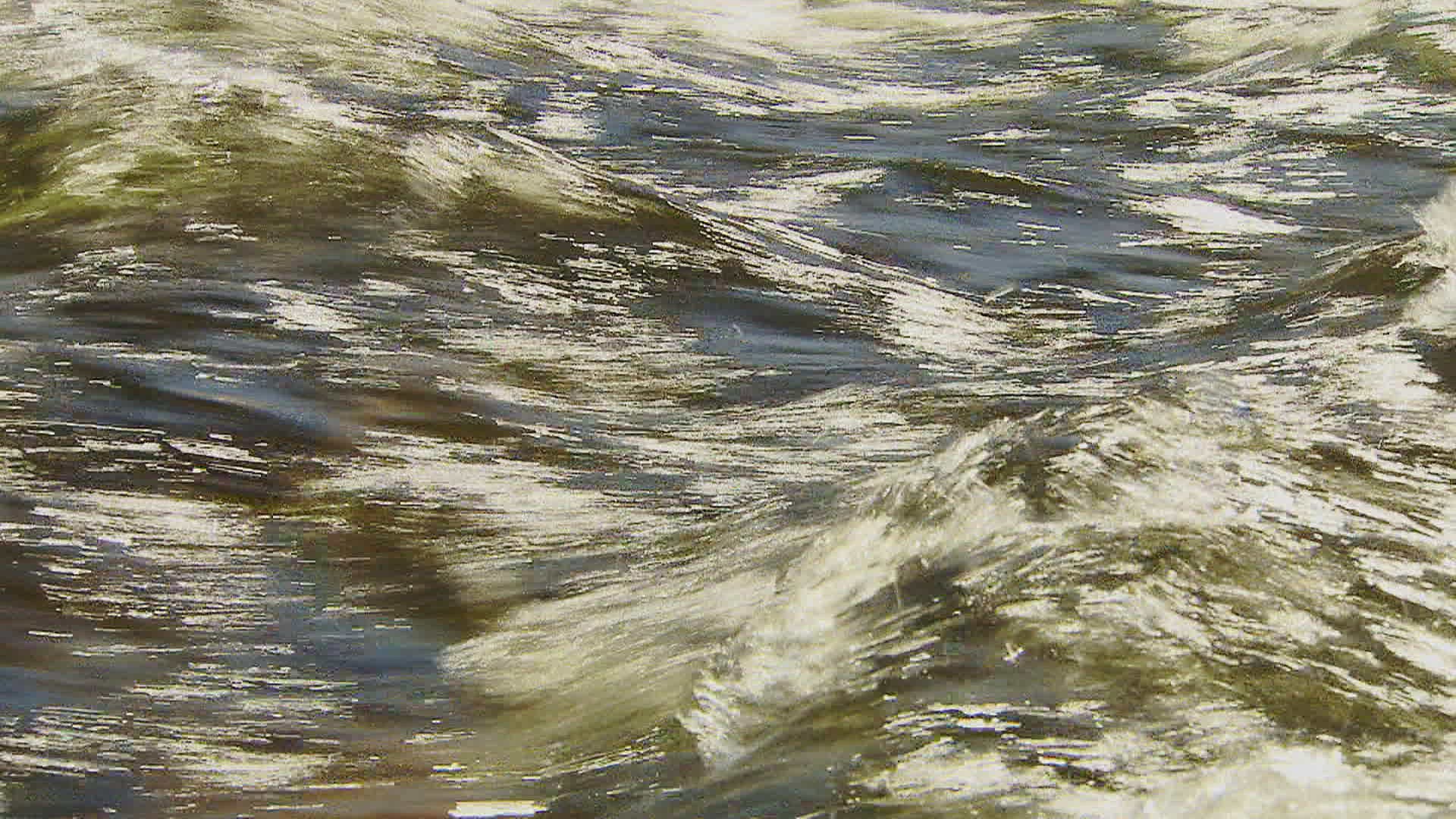 888818828 / November / 2018 / 2010-2019 / 21st Century / Rippled